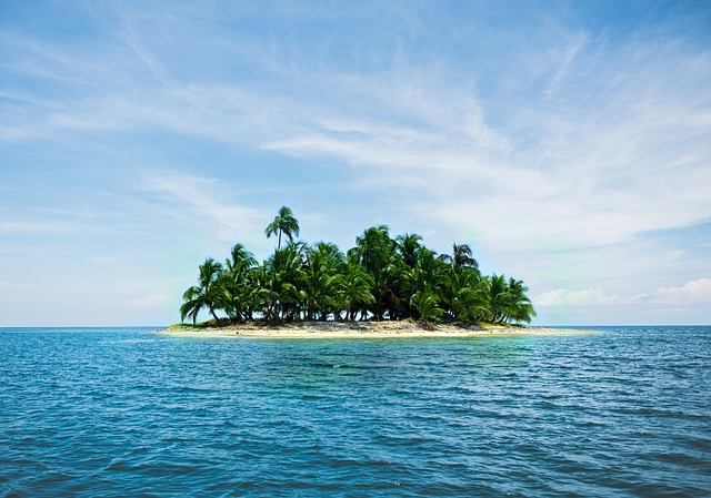 palmy na ostrově